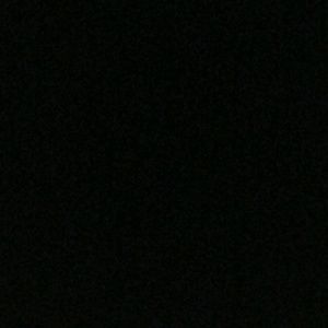 Meet your Posher, Dave